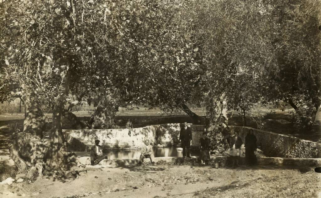 Φωτογραφικό Λεύκωμα Τριφυλίας, 1932