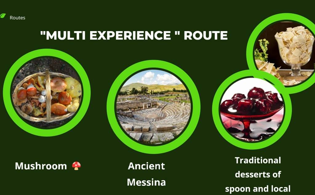 ROUTES - «MULTI EXPERIENCE»