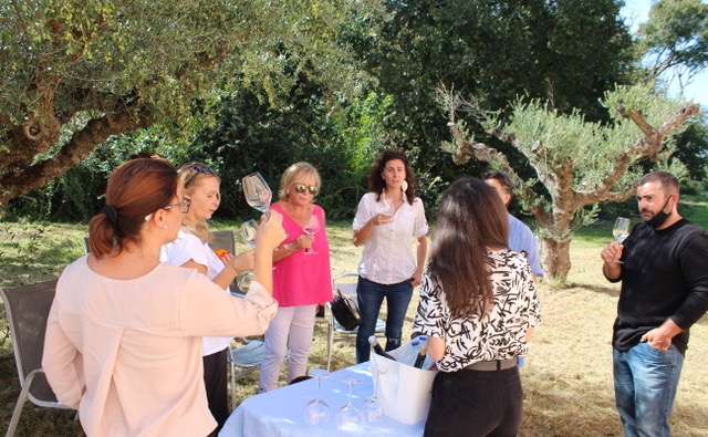 WINE TOUR & TASTING IN A WINERY WITH LUNCH IN MESSINIA