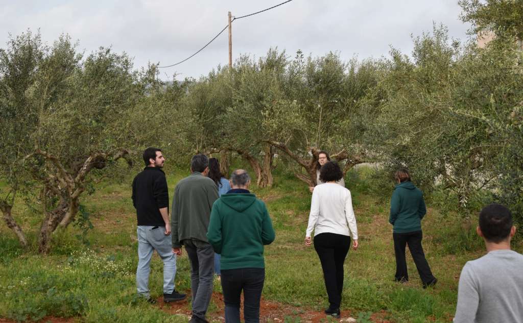 STALIA-Olive oil & Gastronomic Experiences