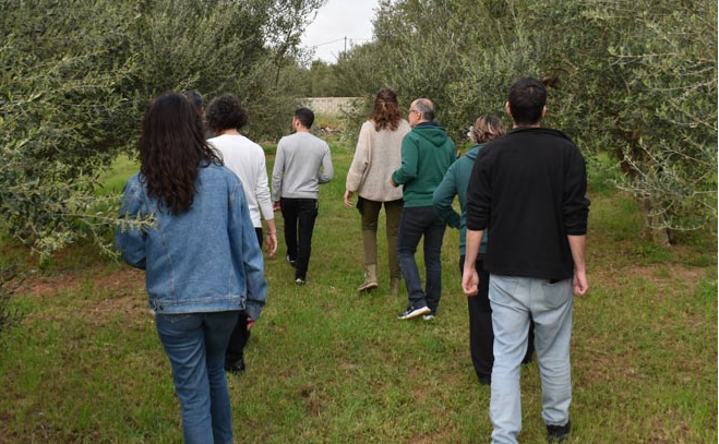 STALIA-Olive oil & Gastronomic Experiences