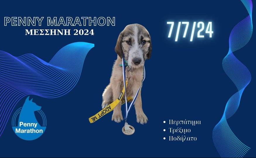 PENNY MARATHON 2024