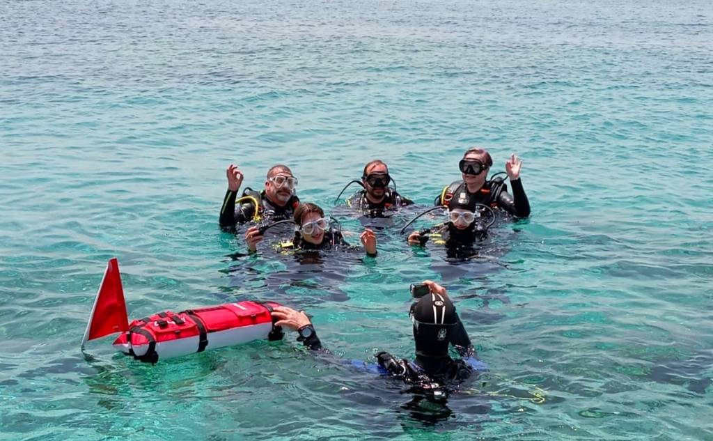 Scuba Turtles