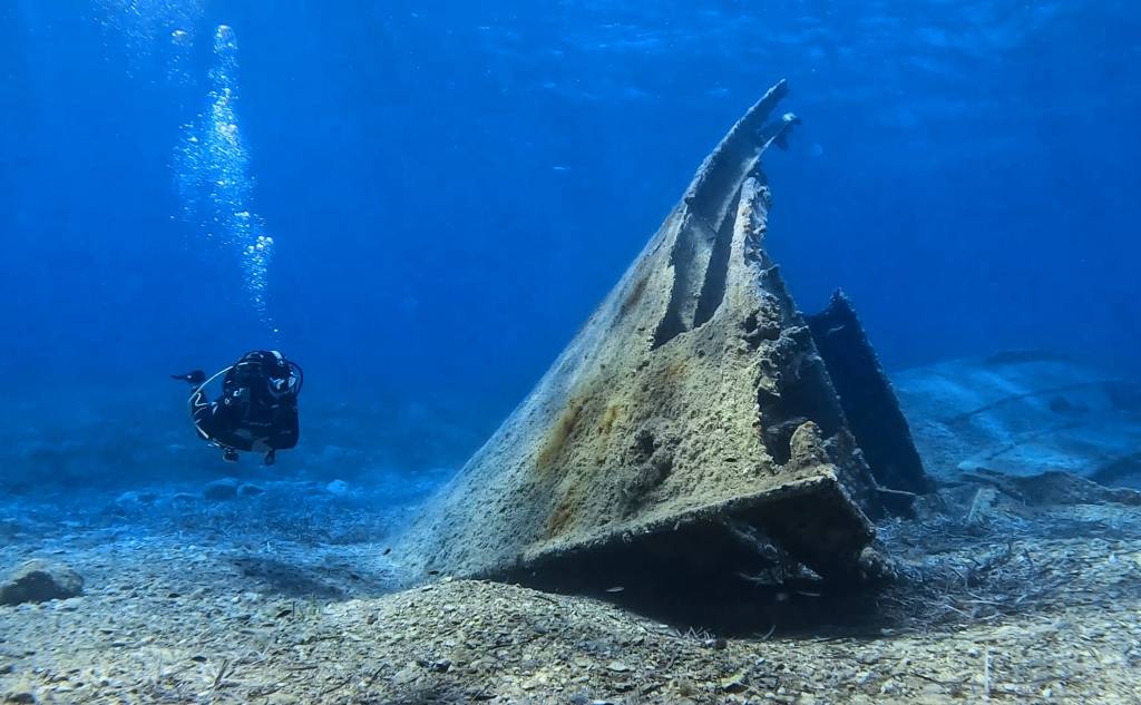 Scuba Turtles