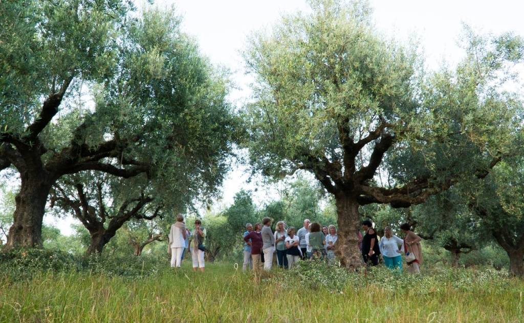 Green Land Products Cooperative Farming-Γευστικές Εμπειρίες