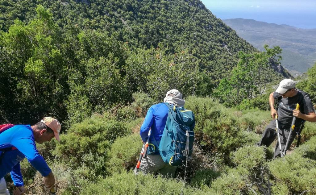 Path cleaning at Pigadia on Mount Taygetos