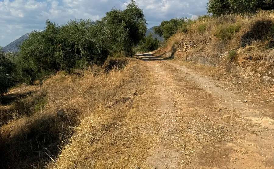 Αγροτεμάχιο 1000 τ.μ. προς πώληση