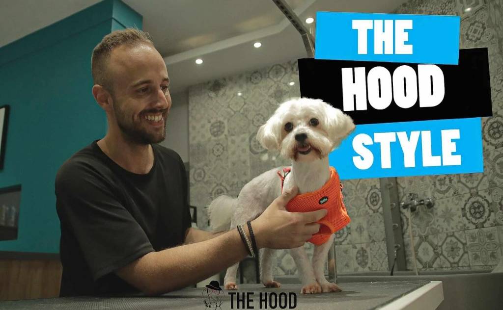 THE HOOD/Doggie Stylez Grooming-Περιποίηση ζώων συντροφιάς