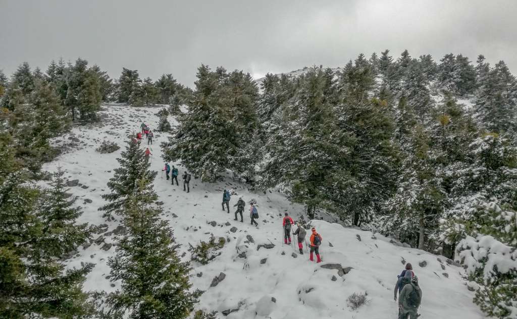 Kalamata Mountaineering Association-Hiking to Kontovounia, Mount Taygetos