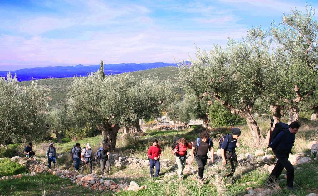 Ορειβατικός Σύλλογος Καλαμάτας-Πεζοπορία: Πολιανή/Άγριλος