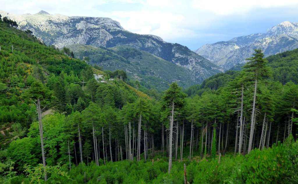 1ο Διεθνές Κινηματογραφικό Camp Ταϋγέτου