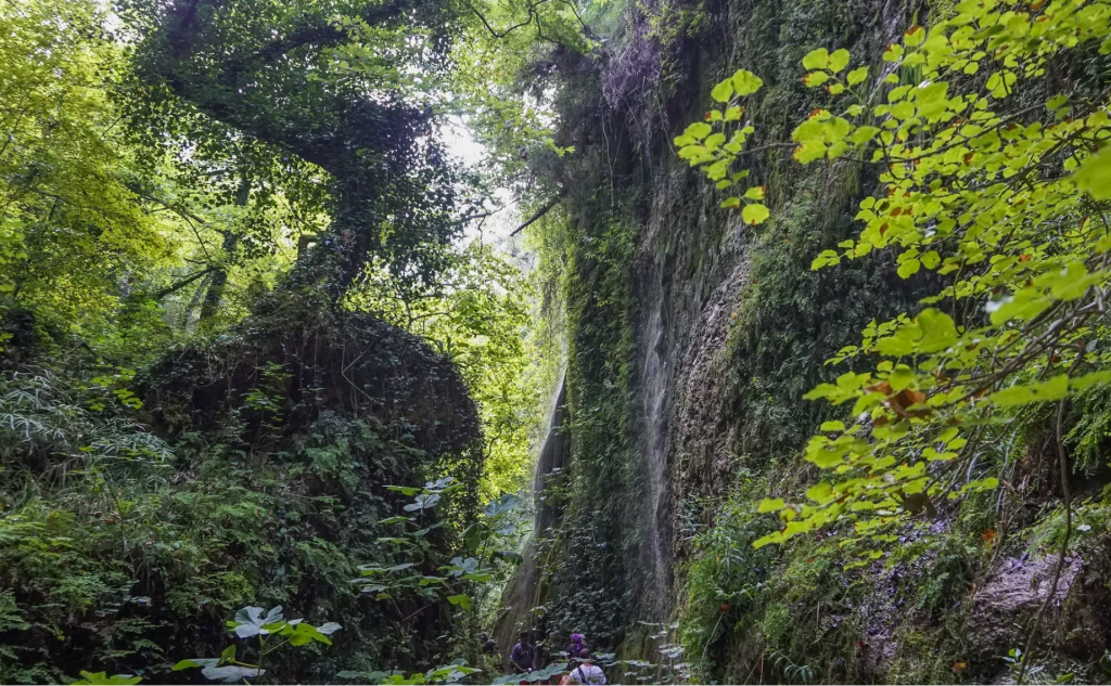 Kalamata Mountaineering Association-Hiking at the Nemouta Waterfalls