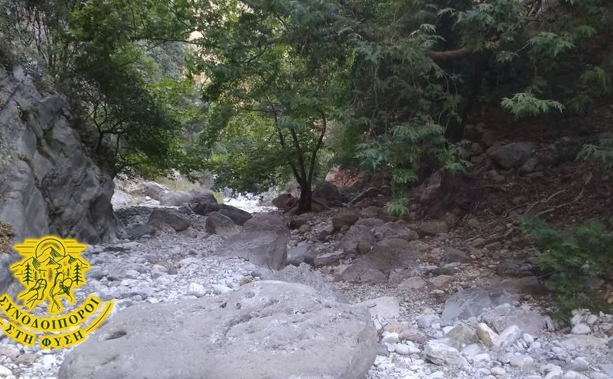 Companions in NATURE-Ridomo Gorge