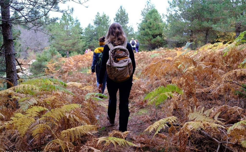 Ορειβατικός Σύλλογος Καλαμάτας-Φαράγγι των Μύλων