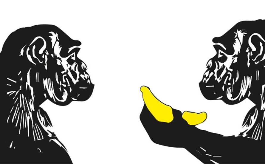 Peloponnese International Documentary Festival