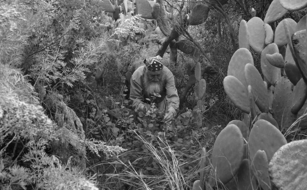 Προβολή ντοκιμαντέρ στο Doc Cafe-Ιστορίες Φύσης και Παράδοσης (Διπλή Προβολή)