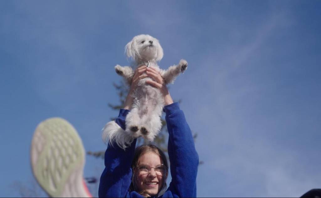Κέντρο Δημιουργικού Ντοκιμαντέρ Καλαμάτας-Tα μικρά σκυλιά γαβγίζουν δυνατά
