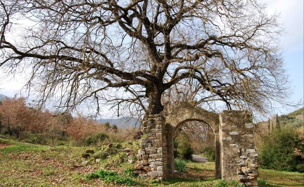 Ορειβατικός Σύλλογος Καλαμάτας-Εξόρμηση σε Αρχαία Μεσσήνη/Μαγγανιακό