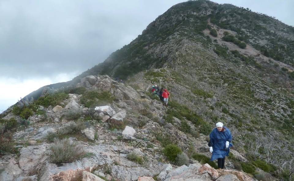 Σύλλογος Πεζοπόρων και Ορειβατών Καλαμάτας-Ανάβαση στο Λυκούρειο Όρος