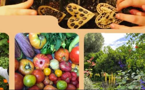 Re:Think/Foifa Farm-Introduction to Permaculture Workshop