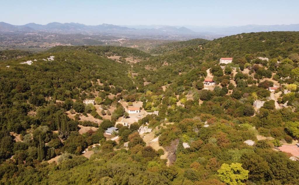 Ορειβατικός Σύλλογος Καλαμάτας-Εξόρμηση στο Λυκόδημο
