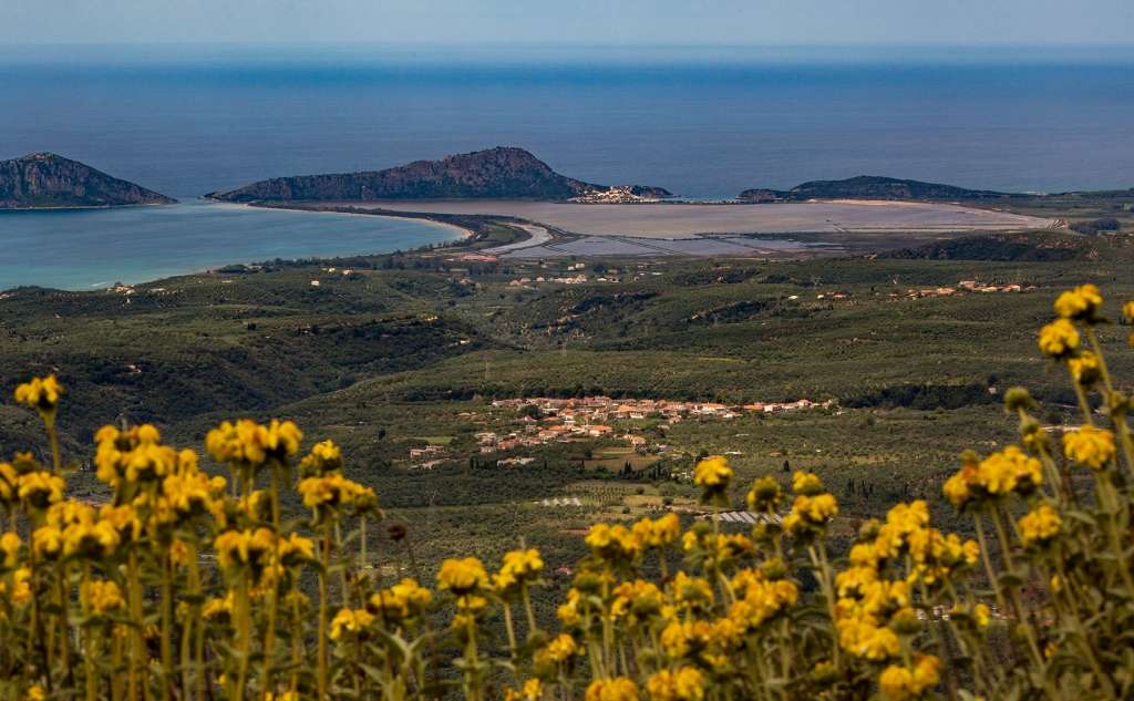 Στενωσιά