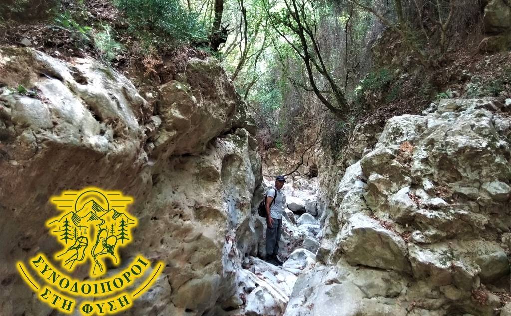 Φαράγγι Τεπένι - Συνοδοιποροι ΣΤΗ ΦΥΣΗ