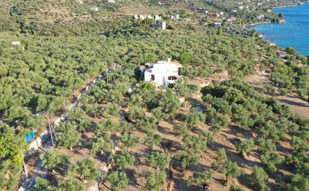 Kalamata Top Rooms: Orea Elena