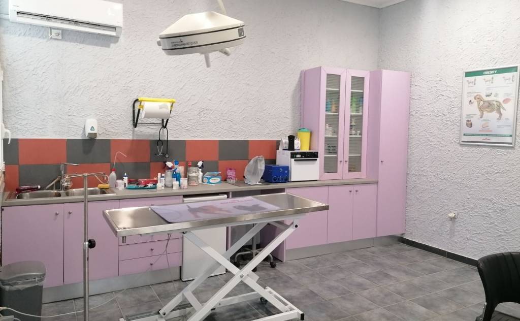 Veterinary Clinic – Maria Panagopoulou (Pylos)