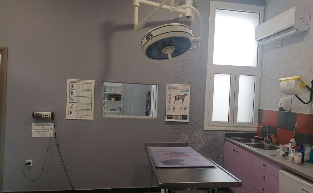 Κτηνιατρείο Veterinary Clinic – Μαρία Παναγοπούλου (Πύλος)