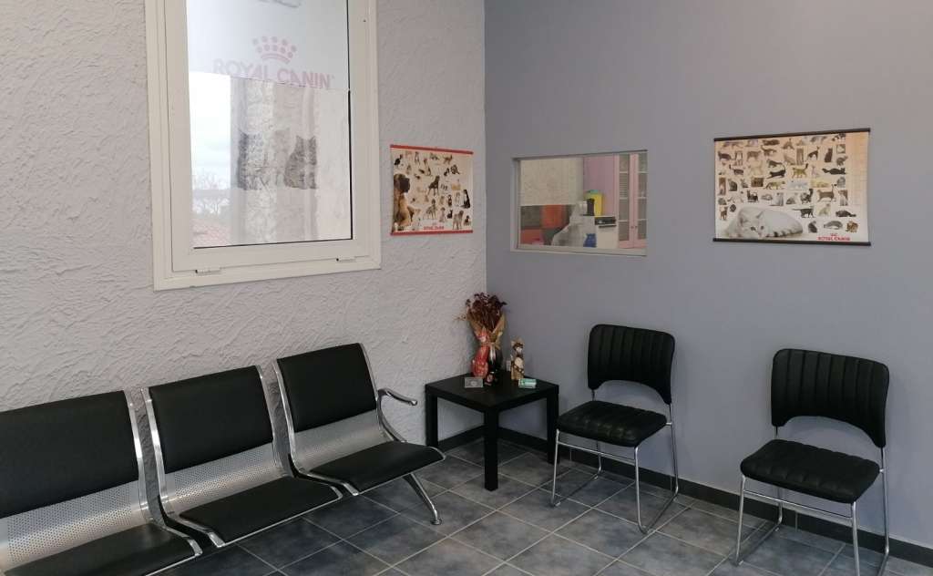 Κτηνιατρείο Veterinary Clinic – Μαρία Παναγοπούλου (Πύλος)