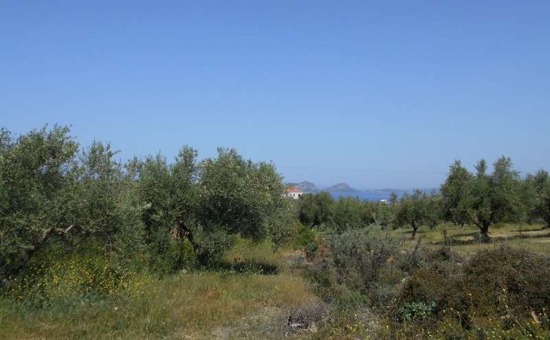 Plot in Pylos