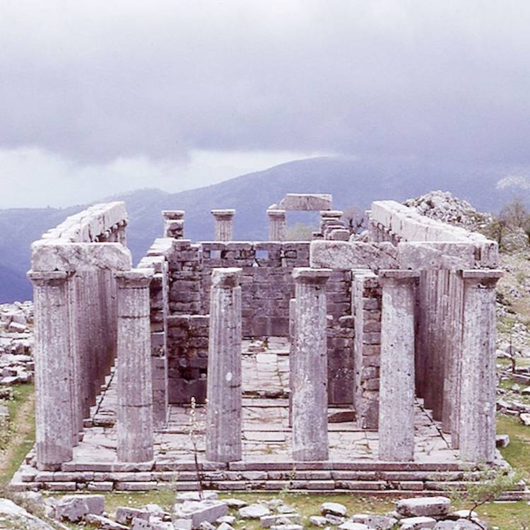 The Epicurius Apollo Temple