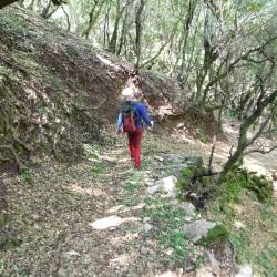 EFKLIS - Along the Andritsaina historical paths