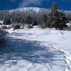 Efklis: On the snowy paths of Mount Mainalo
