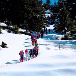 Kalamata Mountaineering Association-Excursion to Helmos