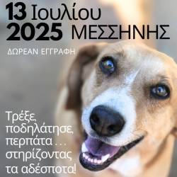 PENNY MARATHON 2025