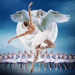 SWAN LAKE