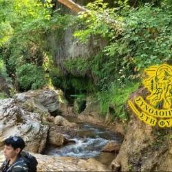 Συνοδοιπόροι ΣΤΗ ΦΥΣΗ-Φαράγγι του Πηνειακού Λάδωνα