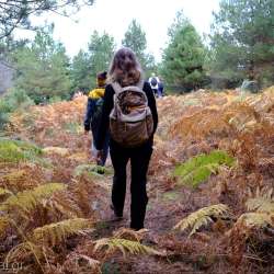 Ορειβατικός Σύλλογος Καλαμάτας-Φαράγγι των Μύλων