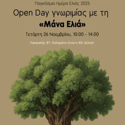 Παγκόσμια Ημέρα Ελιάς: Open Day γνωριμίας με τη «Μάνα Ελιά»