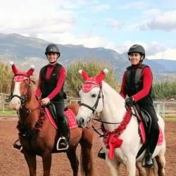 Ιππικός Όμιλος Καλαμάτας-Christmas Fun-Day!