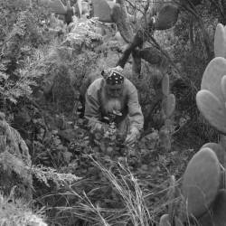 Προβολή ντοκιμαντέρ στο Doc Cafe-Ιστορίες Φύσης και Παράδοσης (Διπλή Προβολή)