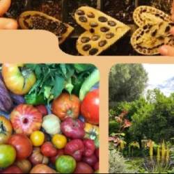 Re:Think/Αγρόκτημα Φυσικής Καλλιέργειας Φοίφα-Εργαστήριο Γνωριμίας με την Περμακουλτούρα