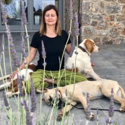 Asana to Zen Retreat with Vivi Letsou