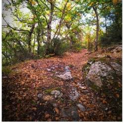 Efklis - Autumn colours at Ano Doliana