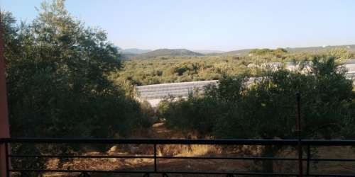 Μονοκατοικίες στα Ρίκια Γαργαλιάνων